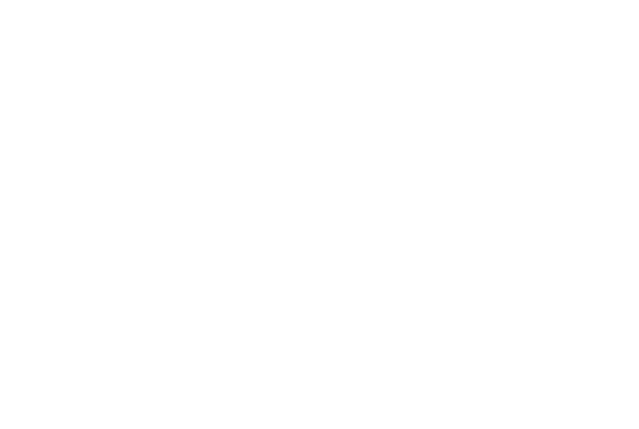 Boston Consulting Group